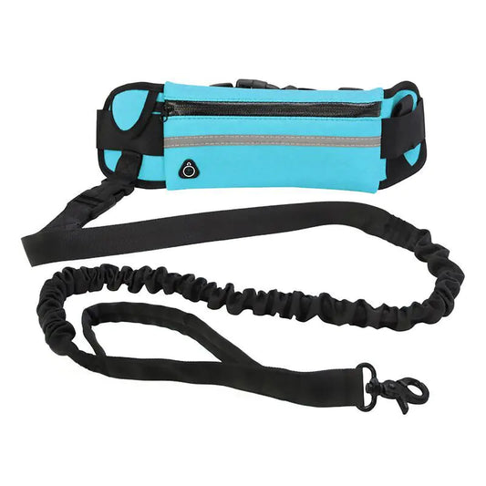 Pet Purse Leash for Convenient Dog Walking