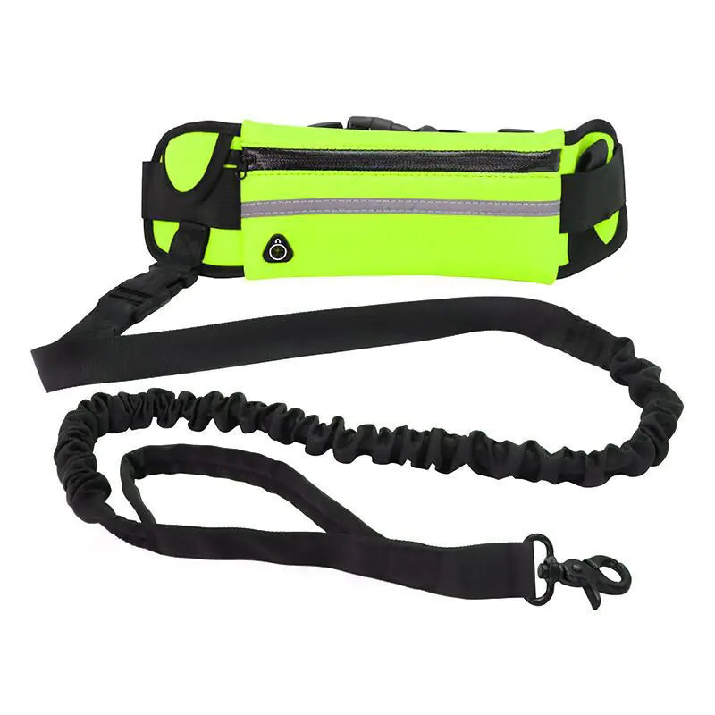 Pet Purse Leash for Convenient Dog Walking