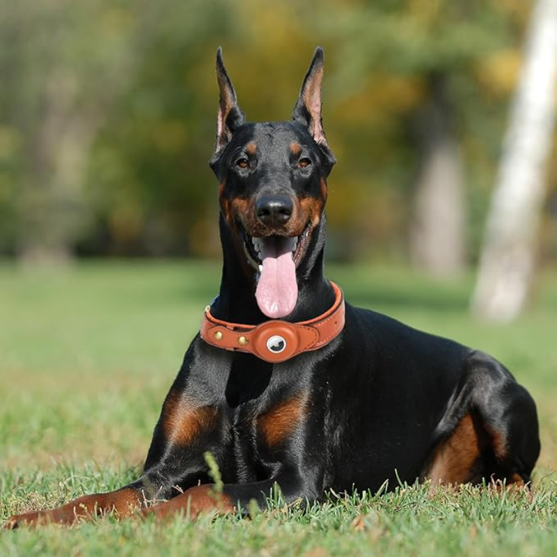 Petsndogs™ GPS Tracker – Smart Leather Collar