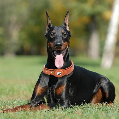 Petsndogs™ GPS Tracker – Smart Leather Collar