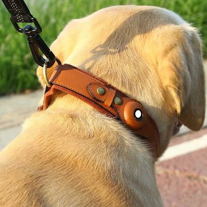 Petsndogs™ GPS Tracker – Smart Leather Collar