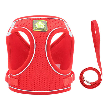Reflective Vest Harness and Leash for Small Dogs