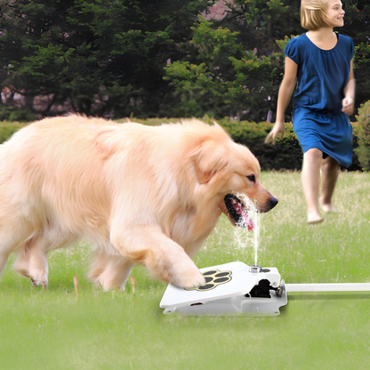 Petsndogs™ Water Feeder – Outdoor Pet Fountain