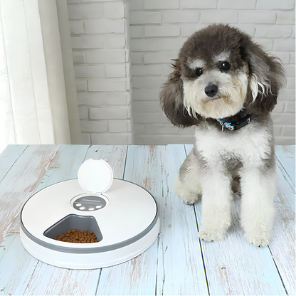 Petsndogs™ Smart Feeder – Auto Pet Dispenser