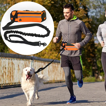 Pet Purse Leash for Convenient Dog Walking