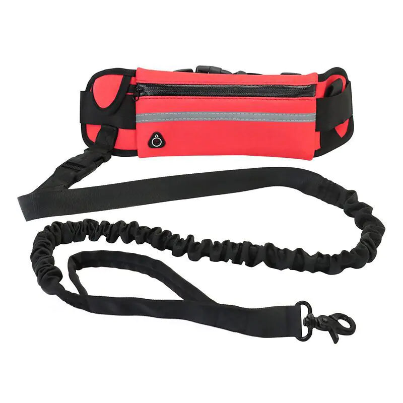 Pet Purse Leash for Convenient Dog Walking